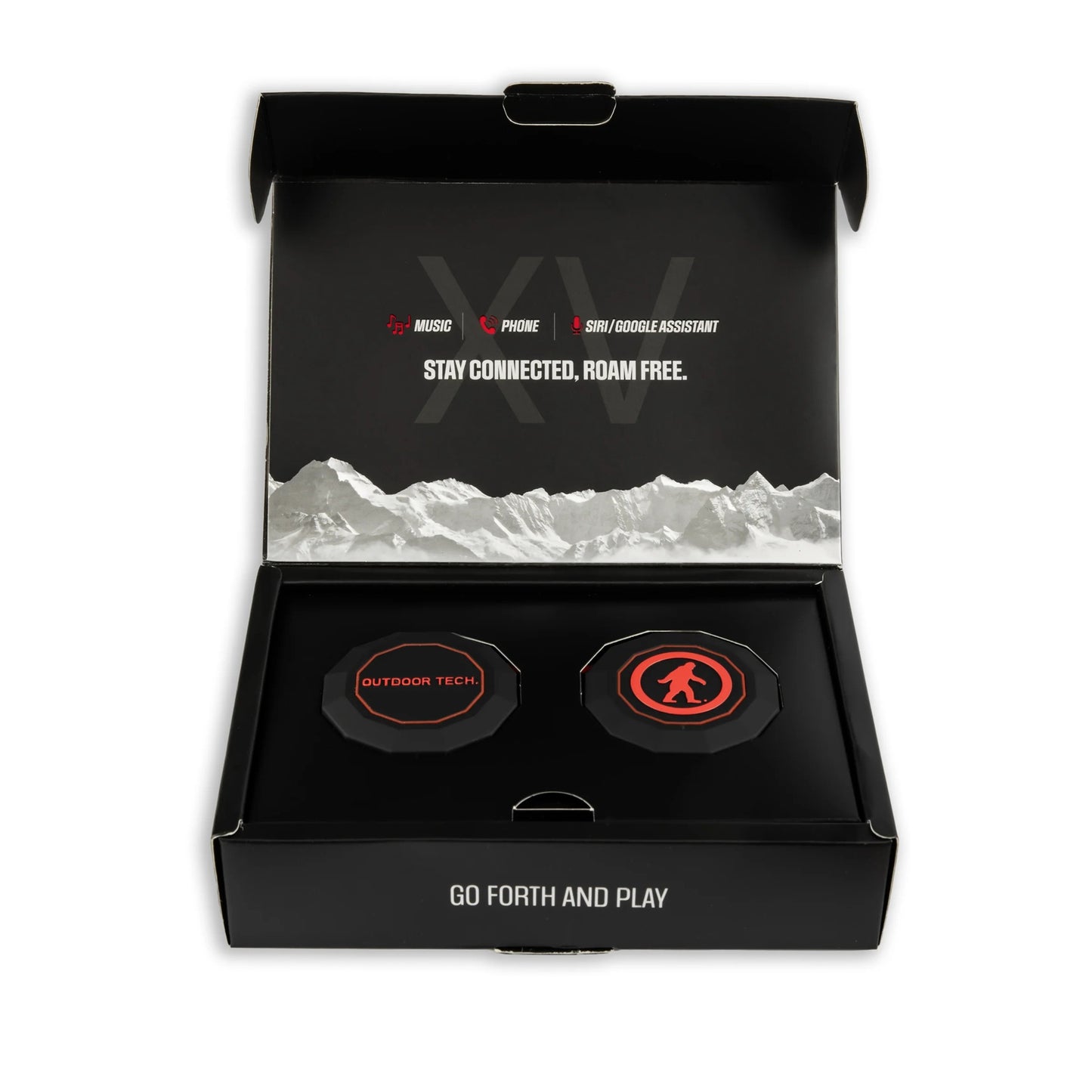 Chips XV - Helmet Audio